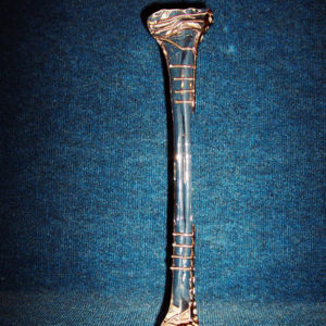 https://www.cdcdesigninc.com/wp-content/uploads/2019/06/femur-300x300.jpg