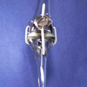 https://www.cdcdesigninc.com/wp-content/uploads/2019/06/knee-300x300.jpg