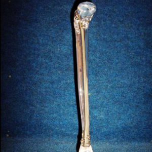 https://www.cdcdesigninc.com/wp-content/uploads/2019/06/tibia-300x300.jpg
